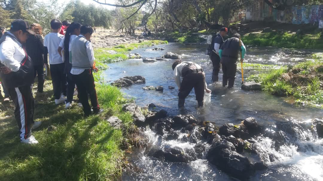 Realizan colecta e identificación de peces en el manantial de Ventoquipa