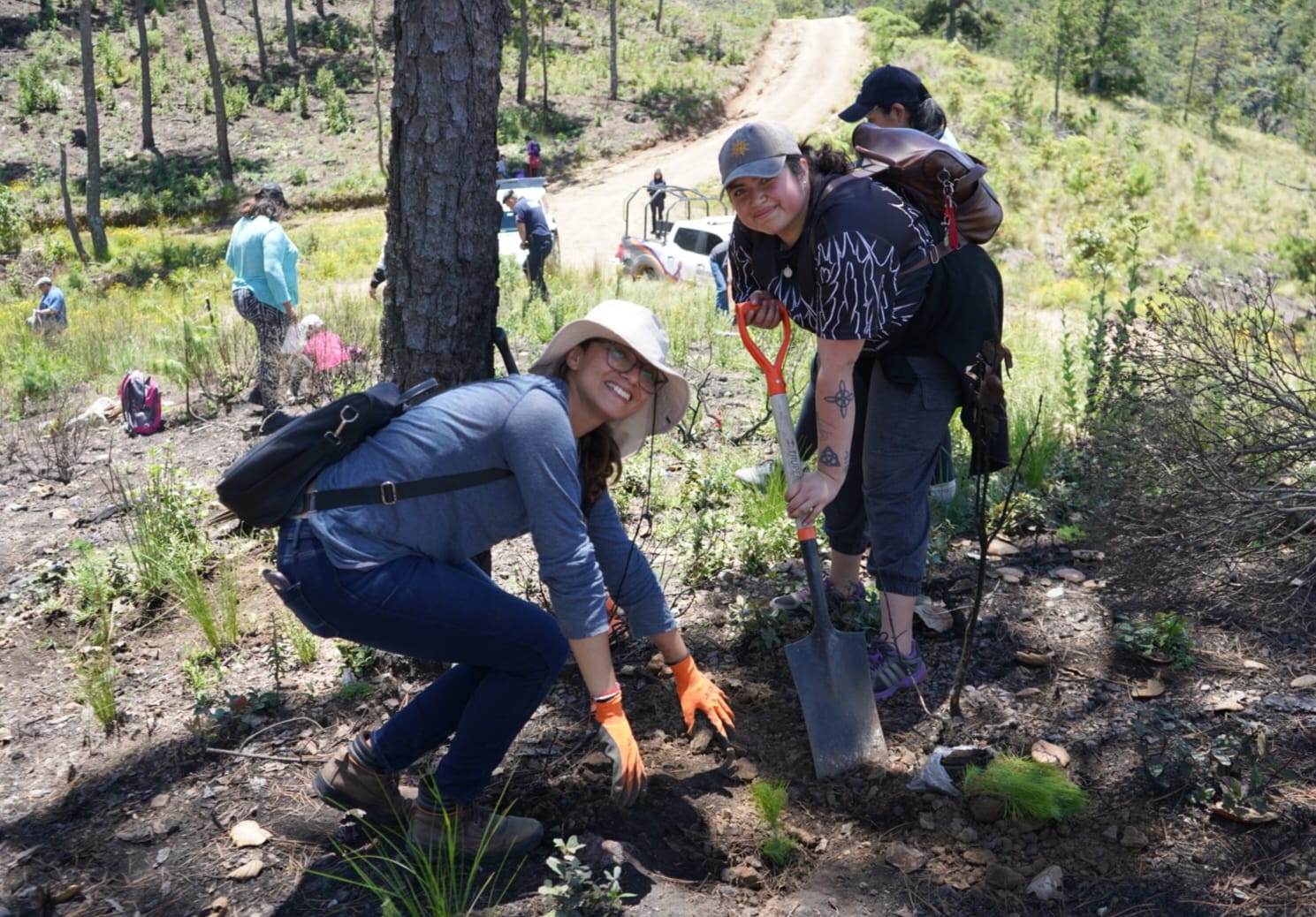 Reforestan mujeres cuautepequenses el Cerro del Yolo