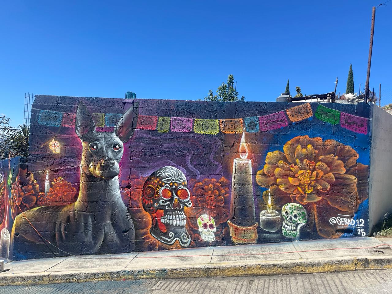 Trabaja MUTU en cambiar imagen de la colonia Lindavista con murales