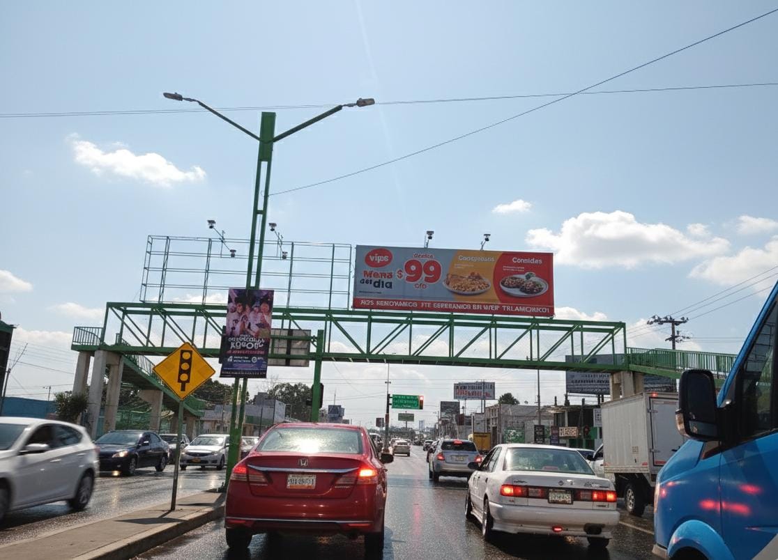 En el trascurso de diciembre realizarán el retiro del resto de anuncios espectaculares en puentes