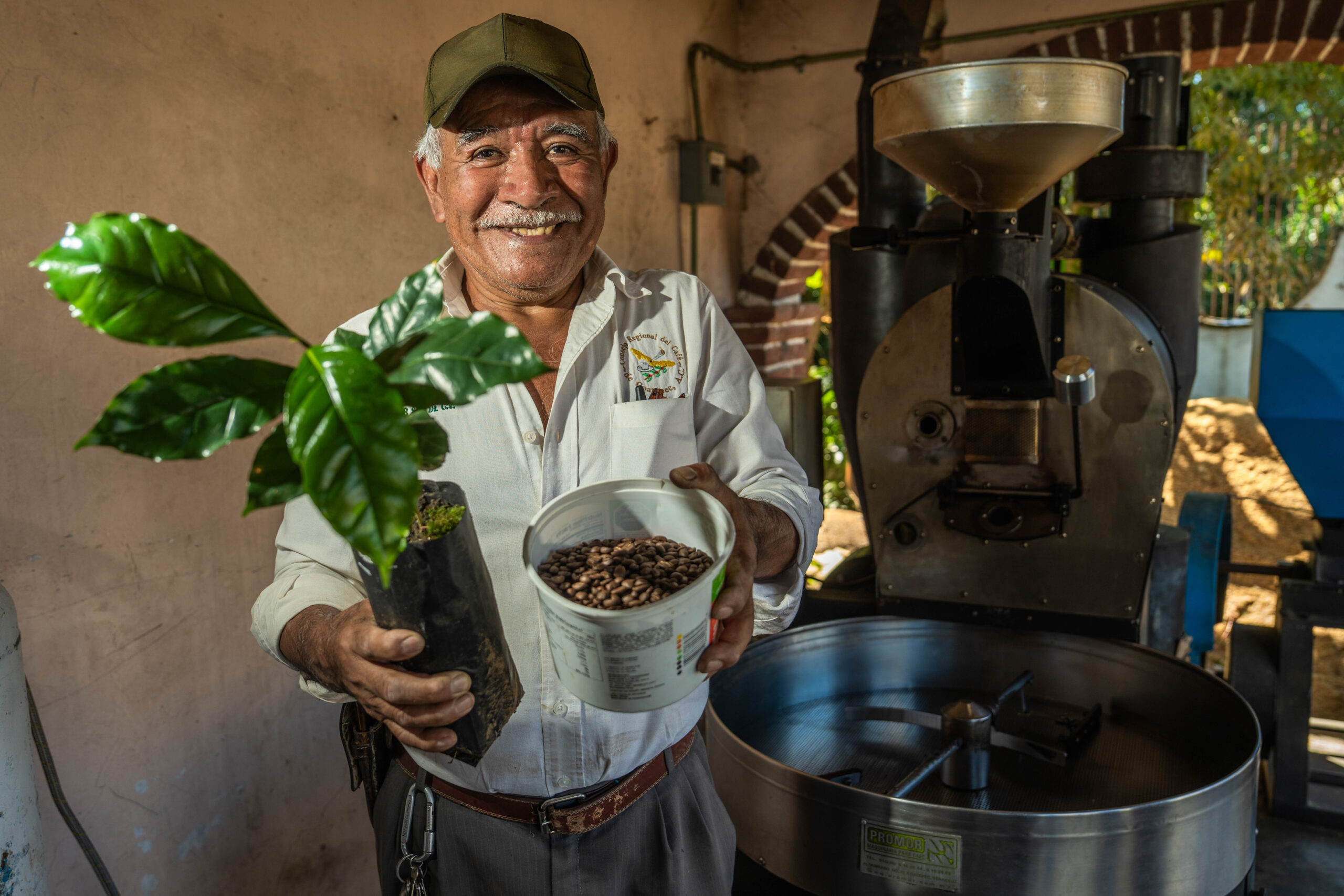 Publican nueva Ley del Café para fortalecer a productores y ordenar la cadena cafetalera