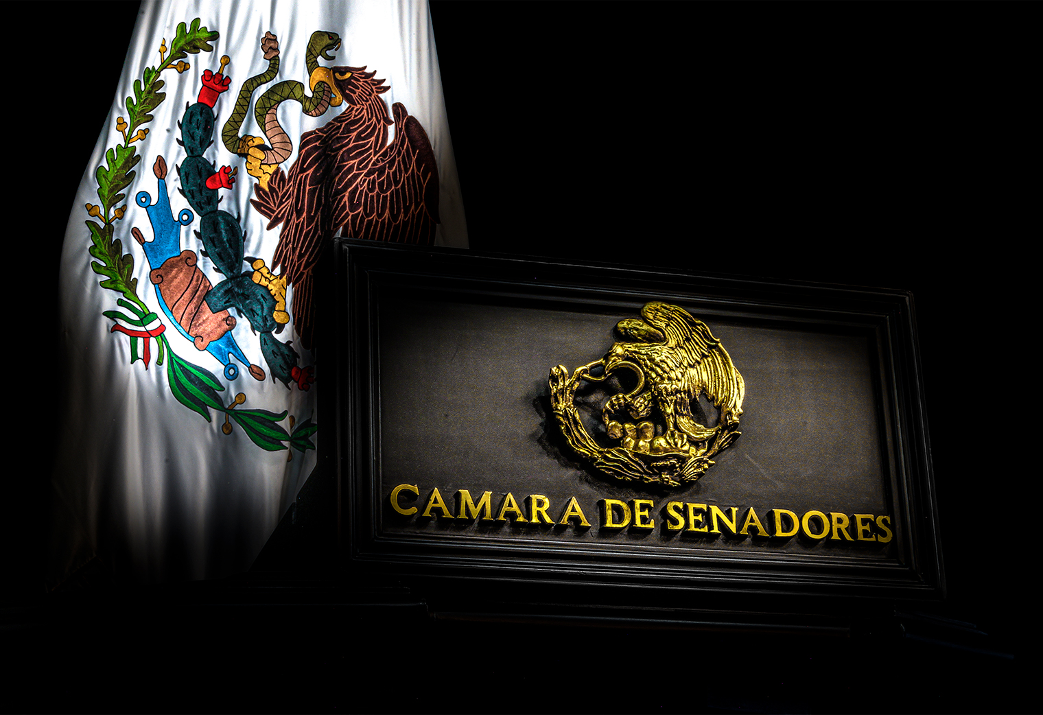Será reforma electoral eje del próximo periodo ordinario en el Senado