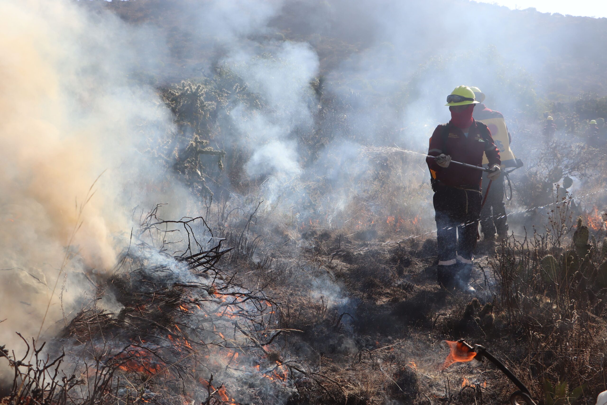 Atienden autoridades estatales, municipales y brigadistas comunitarios incendio forestal en la comunidad de Comatitlán