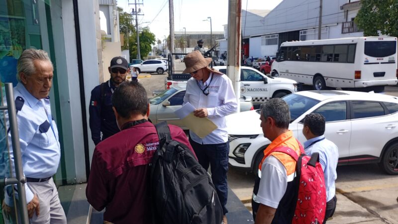 Despliegan operativos en siete estados para frenar contrabando de camarón