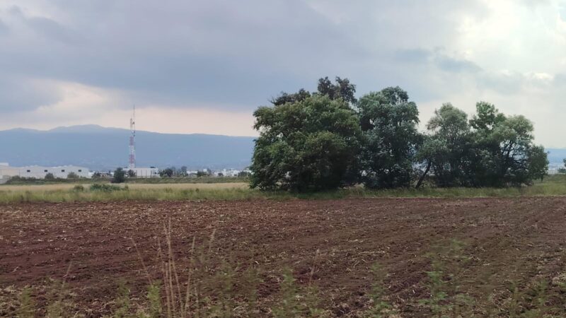 Precipitaciones generan optimismo en el campo tulancinguense