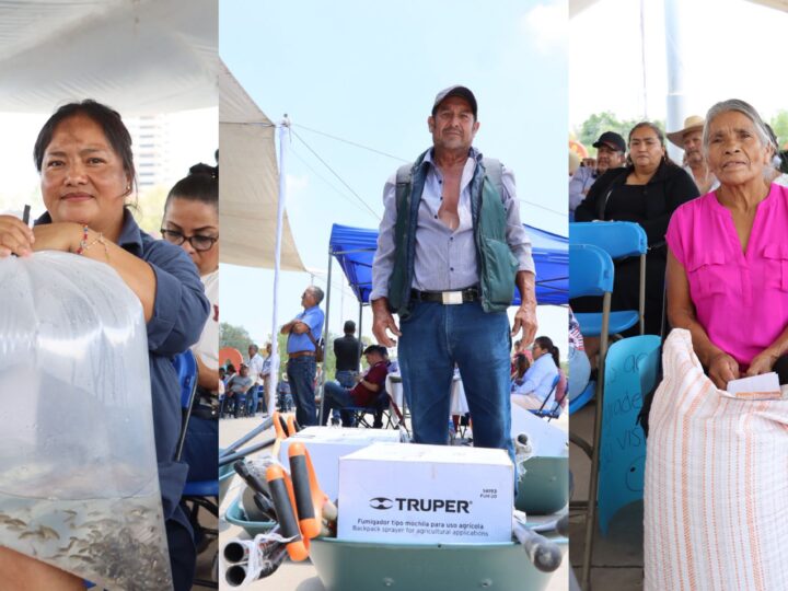 Fortalece Hidalgo su liderazgo nacional en producción acuícola con entrega regional de 900 mil crías de peces