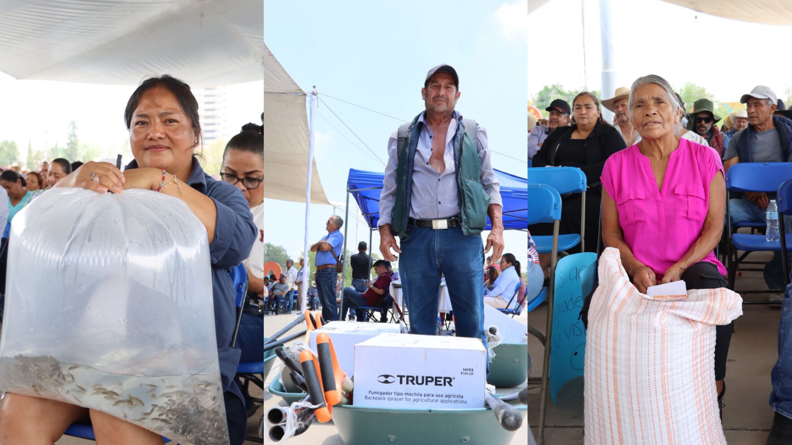 Fortalece Hidalgo su liderazgo nacional en producción acuícola con entrega regional de 900 mil crías de peces